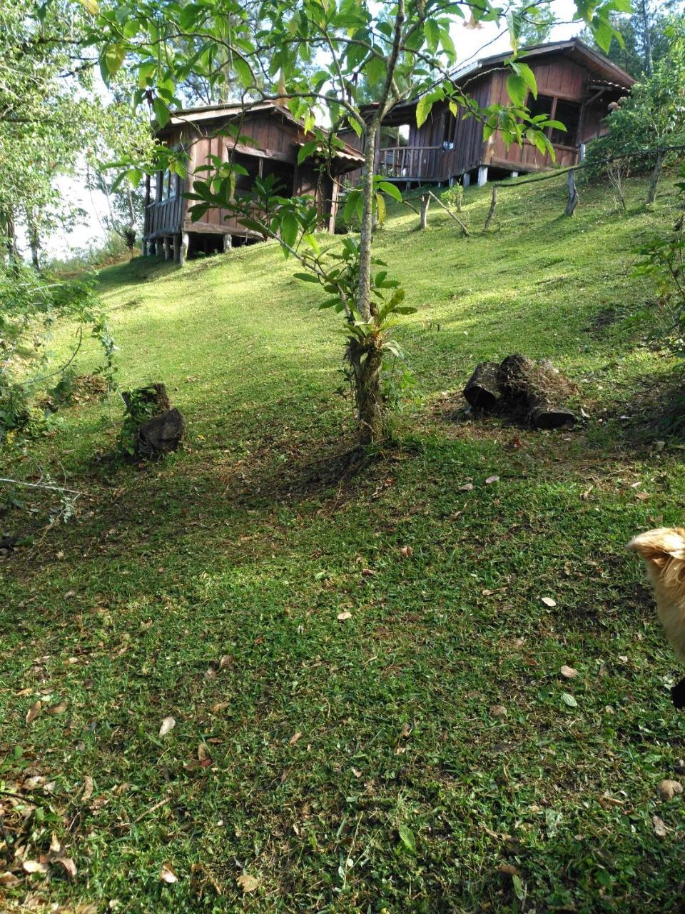 Cabanas Don Camilo Albergue De Montana Cabecera de Canas Luaran gambar