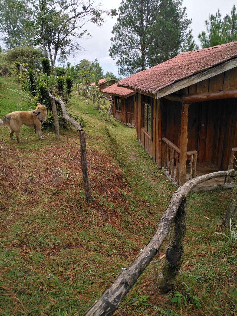 Cabanas Don Camilo Albergue De Montana Cabecera de Canas Luaran gambar