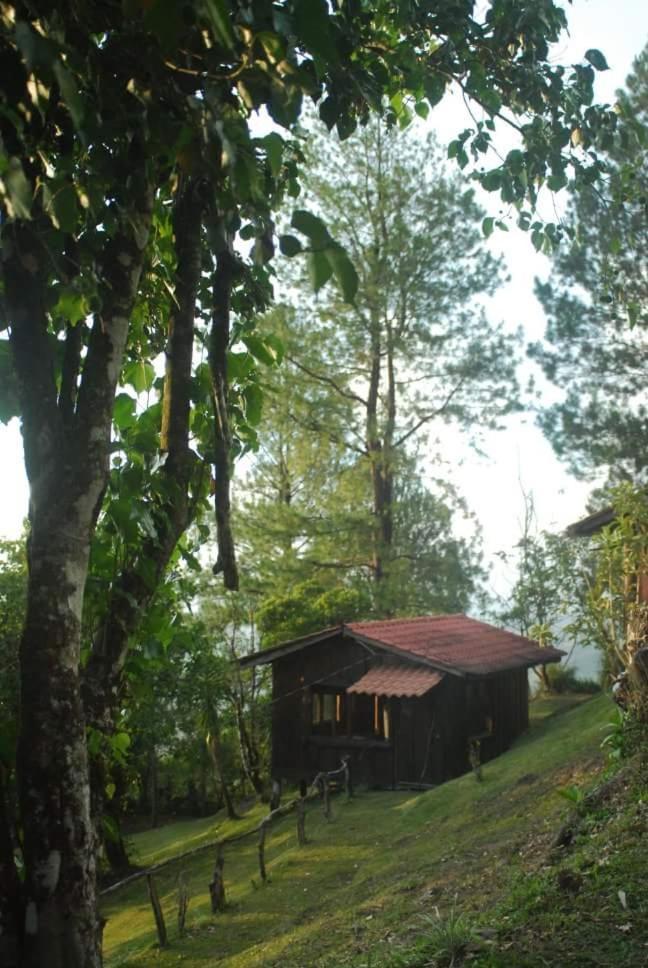 Cabanas Don Camilo Albergue De Montana Cabecera de Canas Luaran gambar